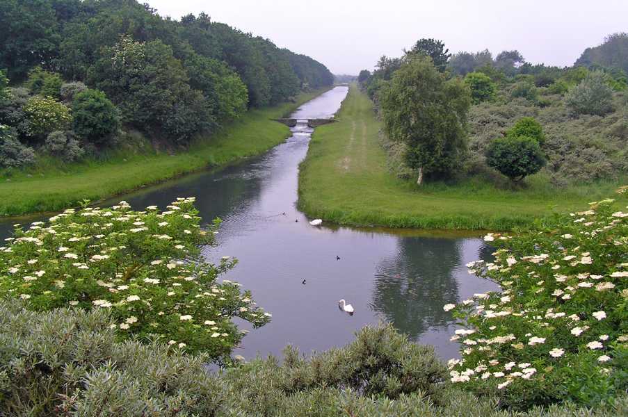 Noordoosterkanaal in de Amsterdamse Waterleidingduinen