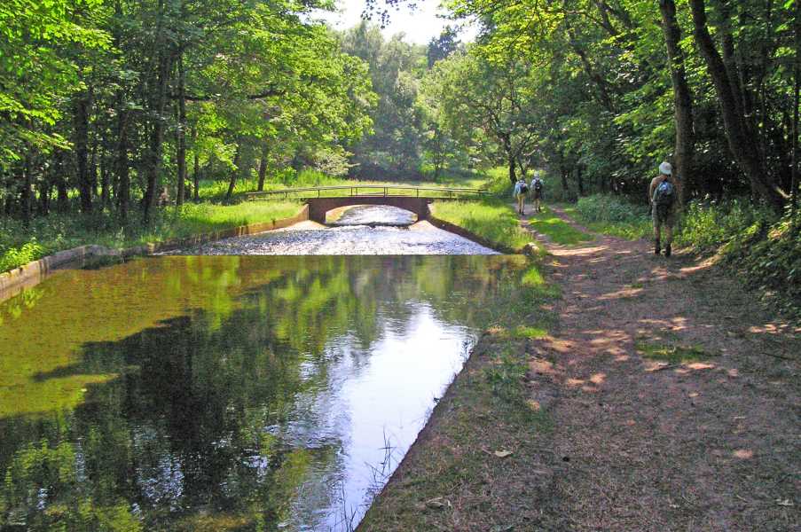 in de Amsterdamse Waterleidingduinen