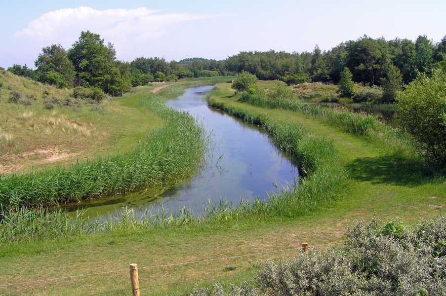 in de Amsterdamse Waterleidingduinen