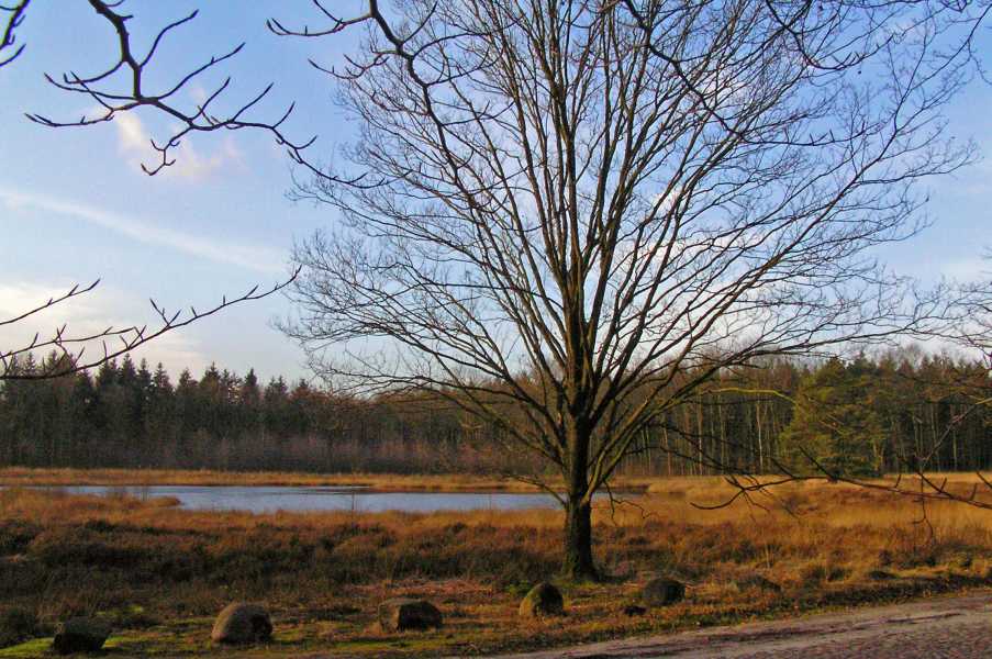 De Moere wandeltocht met de FLAL vanuit Grolloo op zaterdag 26 januari 2008.

Watermolenveen in het Drouwenerveld