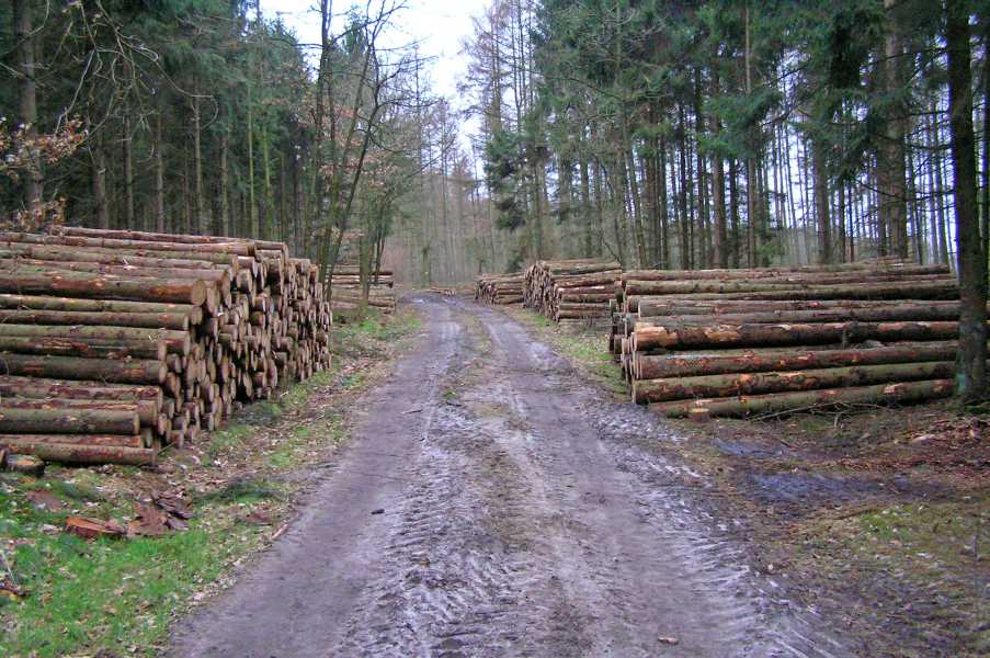 De Moere wandeltocht met de FLAL vanuit Grolloo op zaterdag 26 januari 2008.

in het Grolloo�rveld 