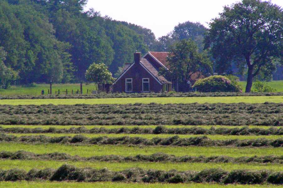 FLAL lustrum wandeltocht vanuit Noordwolde (Fr.) op zaterdag 8 juni 2008.

in de Vledder Es 