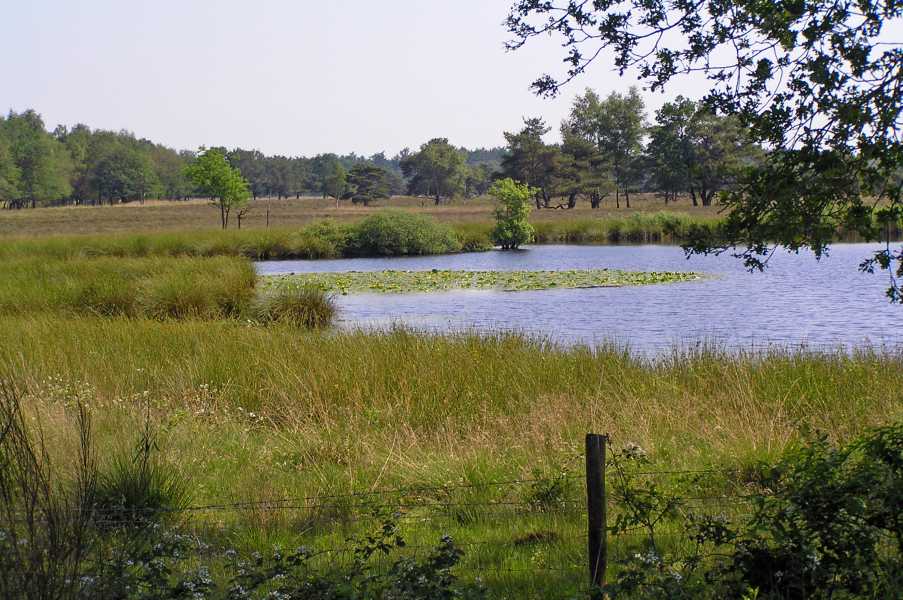 FLAL lustrum wandeltocht vanuit Noordwolde (Fr.) op zaterdag 8 juni 2008.

langs de noordkant van de Vledder Es 