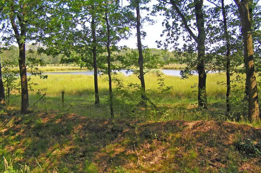 FLAL lustrum wandeltocht vanuit Noordwolde (Fr.) op zaterdag 8 juni 2008.

langs de noordkant van de Vledder Es 
