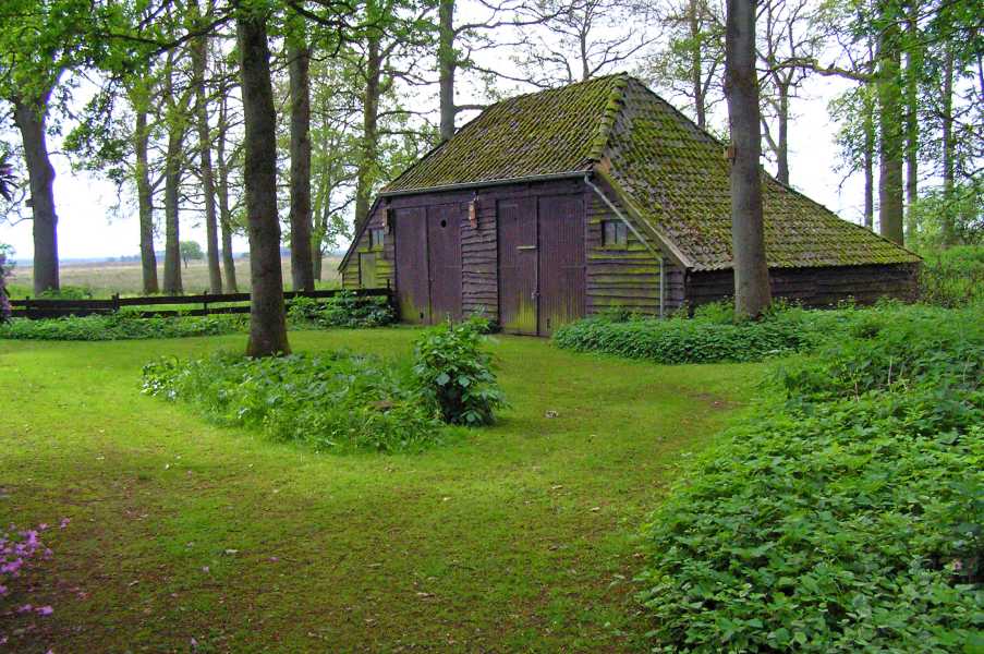 Drents Friese Woud Wandelvierdaagse 2009
