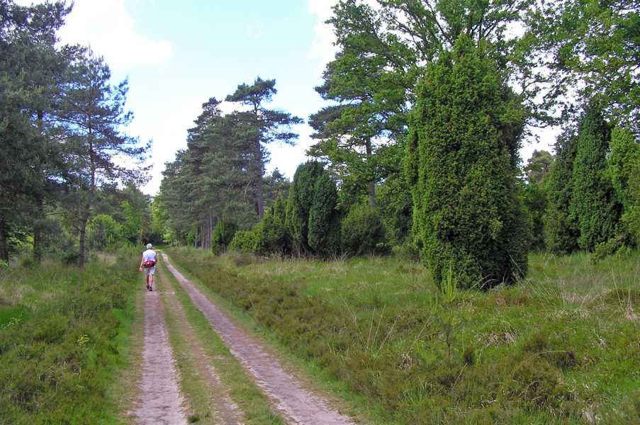 Drents Friese Woud Wandelvierdaagse 2009