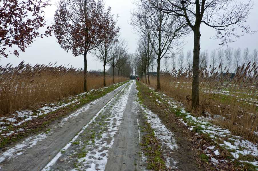 de 40 km lange Brabantse Meierij-tocht met WS78 vanuit Vught op zaterdag 16 januari 2010
nabij Lieseind