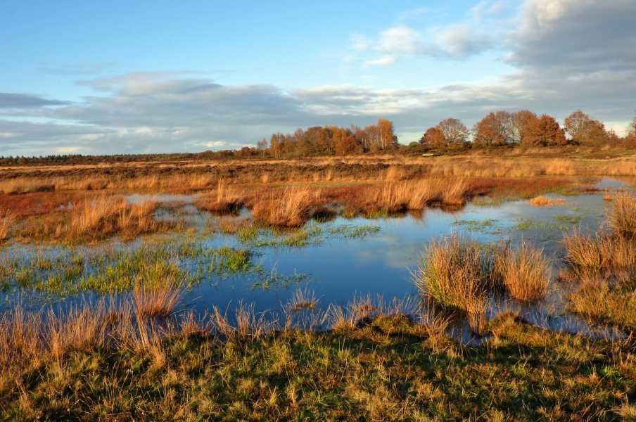 Land van Bartje tocht met de FLAL vanuit Exloo op 6 november 2010

Molenveld bij Exloo 