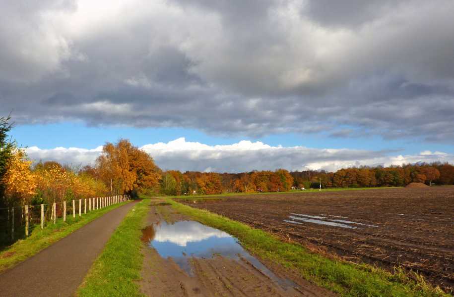 Land van Bartje tocht met de FLAL vanuit Exloo op 6 november 2010

aan de westzijde van Valthe 