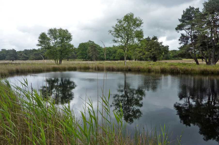 17e Drents Friese Wold Wandelvierdaagse 2011

Uffelter Binnenveld 