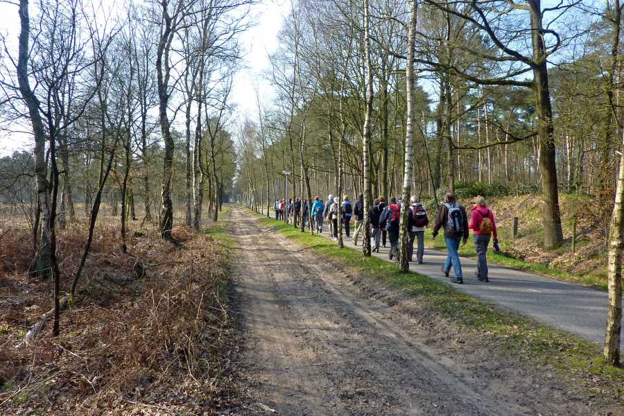 het Gat van Waalre-tocht met OLAT vanuit Eindhoven op dinsdag 20 maart 2012

bosgebied nabij Heidegebied De Meelberg te Waalre 