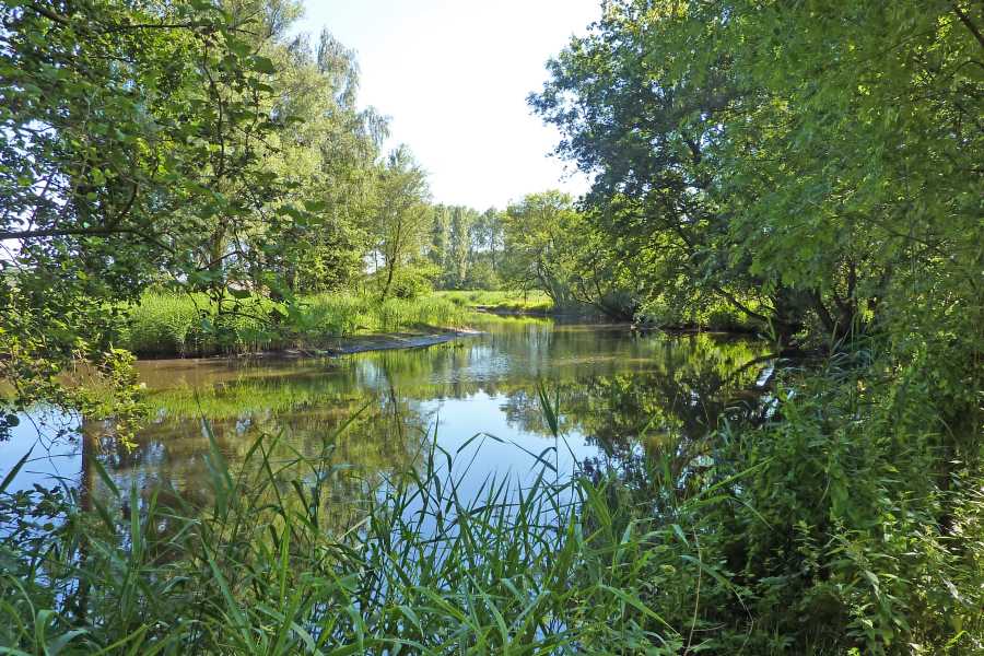 Airbornepad


langs de Dommel 