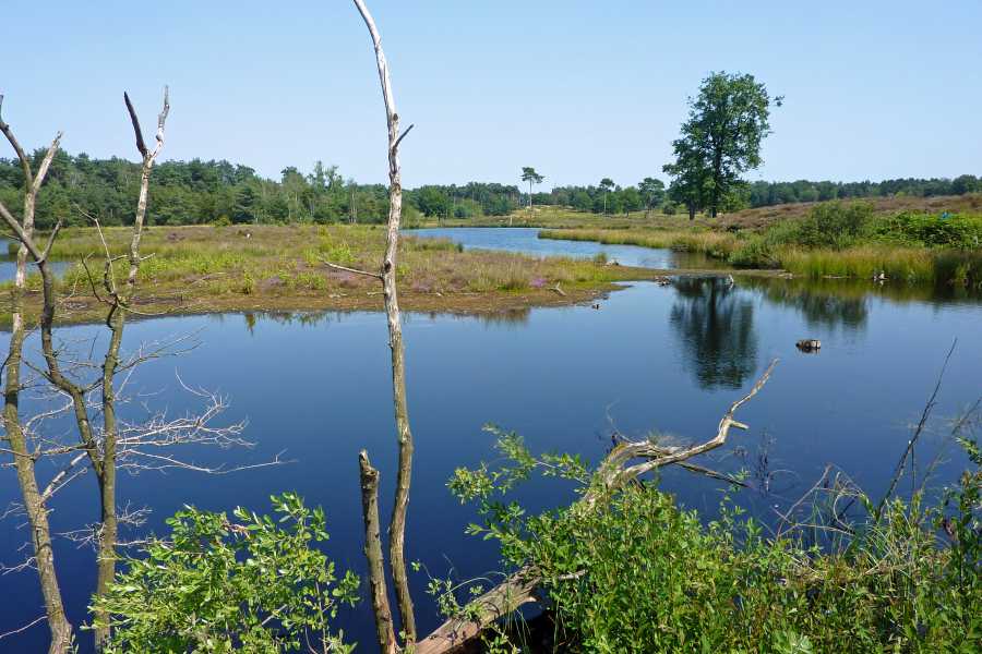 Airbornepad

natuurgebied Overasseltse vennen 
in het Rijk van Nijmegen 