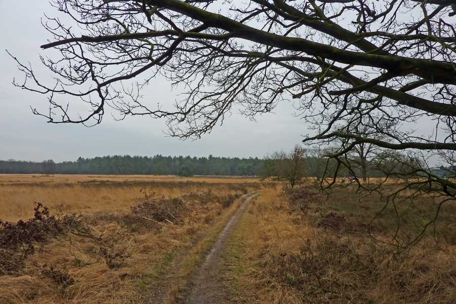 Oranjebond tocht met OLAT op dinsdag 8 januari 2013

Rovertse Heide te Es­beek 