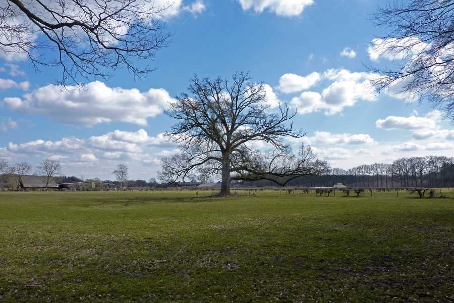 Lustrumtocht met WS78 vanuit Klarenbeek op zaterdag 6 april 2013
