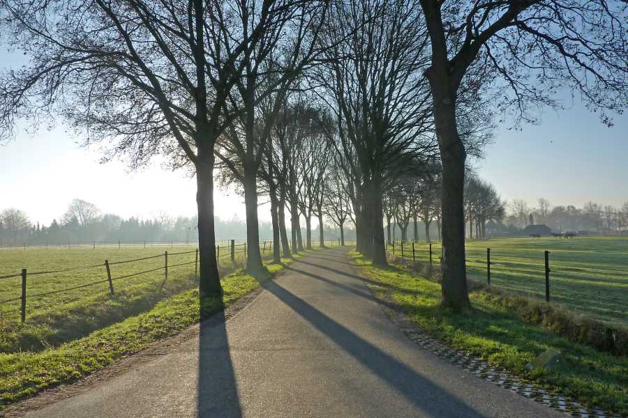 Onderduikerstocht met OLAT vanuit Lierop op 10 december 2013
De Wertstraat te Lierop