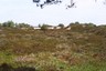Drents Friese Wold Wandelvierdaagse