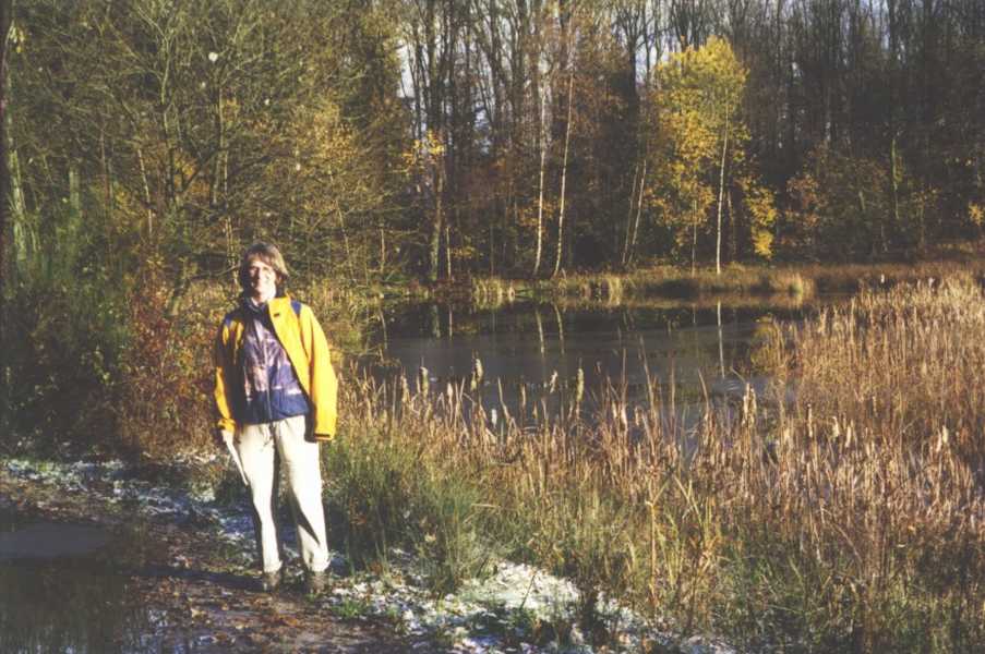 

Klik op de foto voor de volgende foto.