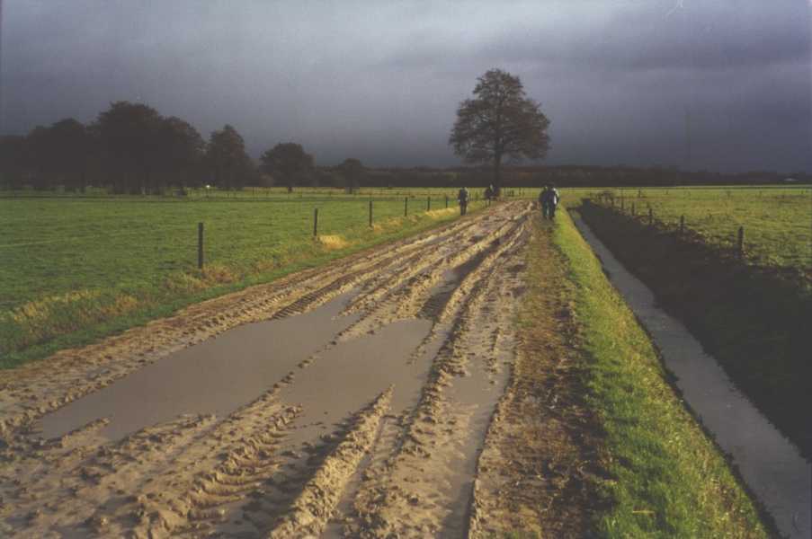 

Klik op de foto voor de volgende foto.