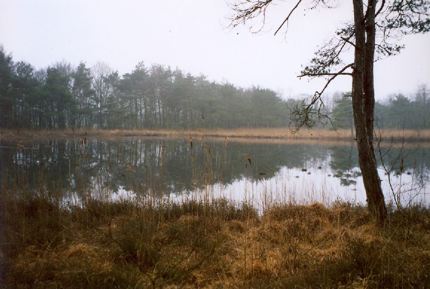 

Klik op de foto voor de volgende foto.