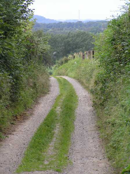 

Zuid-Limburgs landschap.