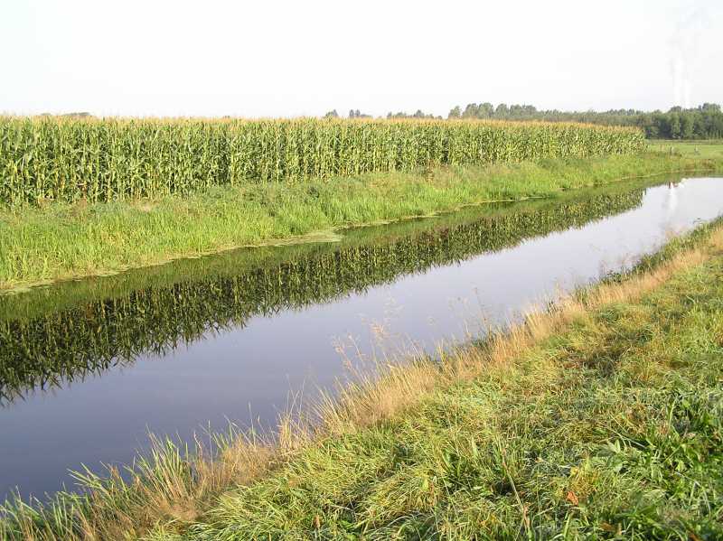 

langs de MOlenwijk te Klazienaveen.