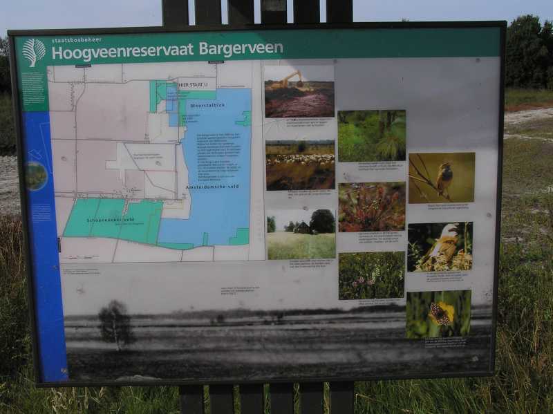 

hoogveenreservaat Bargerveen.
