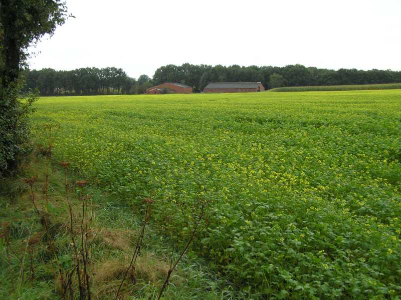 

Op weg naar Hesinge.
