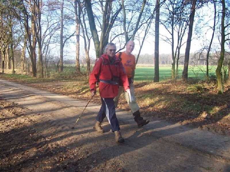 

nabij buurtschap Oosterwijk(foto: Dick Bruijstens.