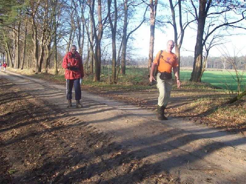 

nabij buurtschap Oosterwijk (foto: Dick Bruijstens).