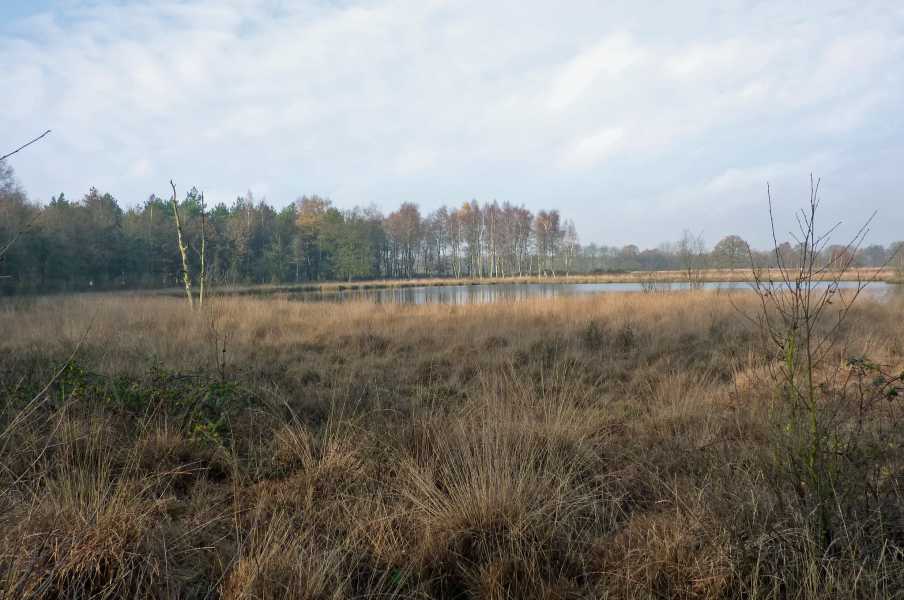 landgoed De Vossenberg