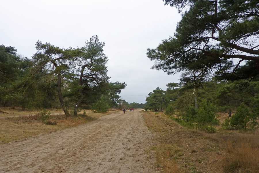 

Holtingerzand.