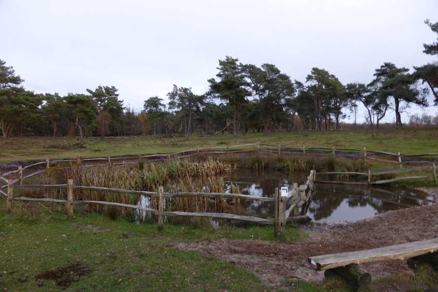 

Beschermd natuurgebied Plantage Willem III te Elst.