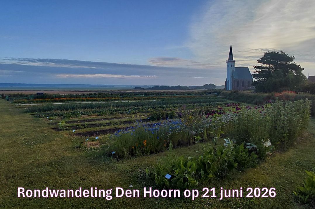 Wandelverslag foto
