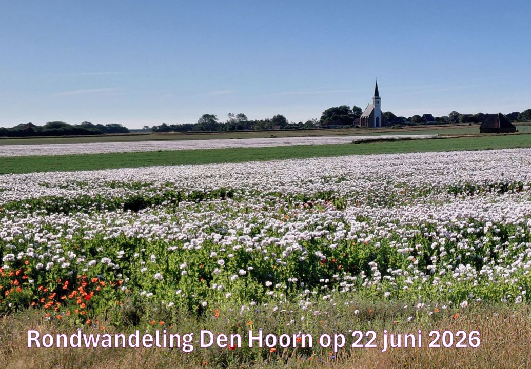 Wandelverslag foto