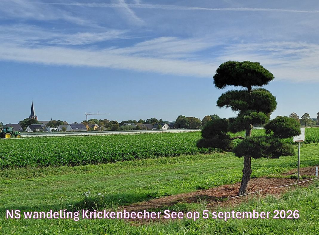 Wandelverslag foto